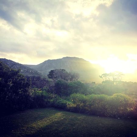 The Crowded House Villa Pringle Bay Esterno foto