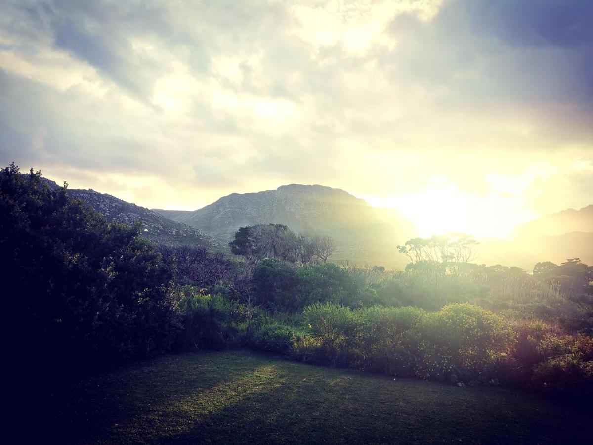 The Crowded House Villa Pringle Bay Esterno foto