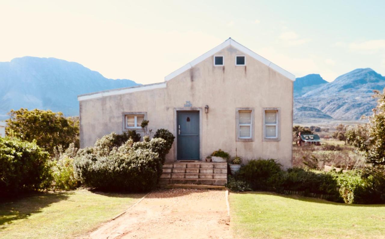 The Crowded House Villa Pringle Bay Esterno foto