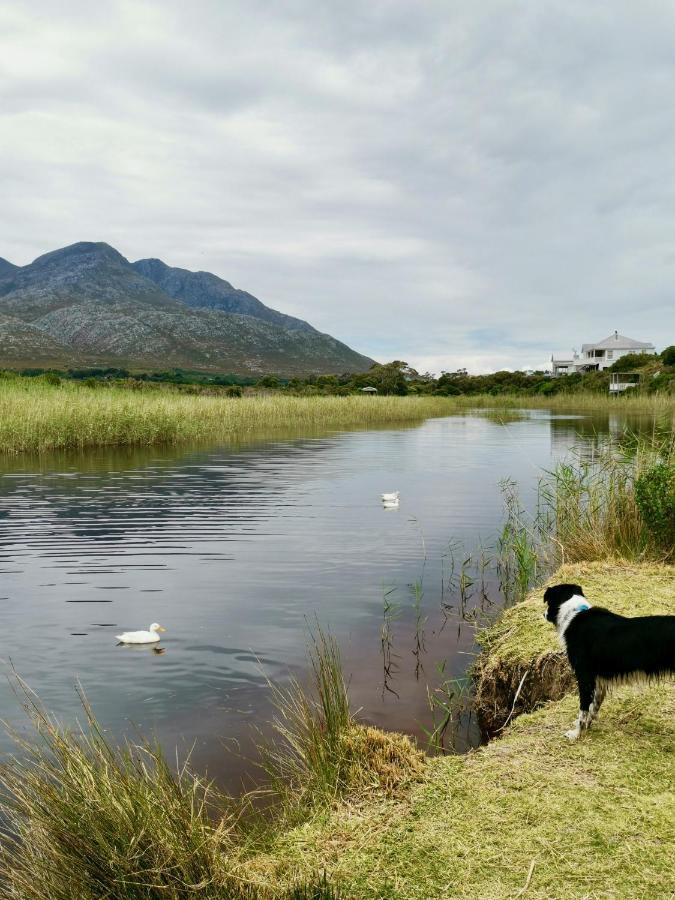 The Crowded House Villa Pringle Bay Esterno foto