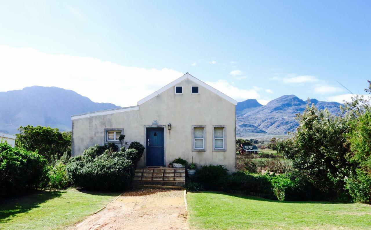 The Crowded House Villa Pringle Bay Esterno foto